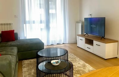 Аренда новой, меблированной 2-комнатной квартиры, 46 м², Новый Белград, Сербия
